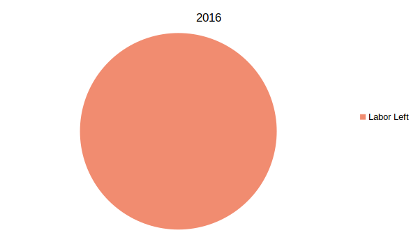 2016 MSA election results